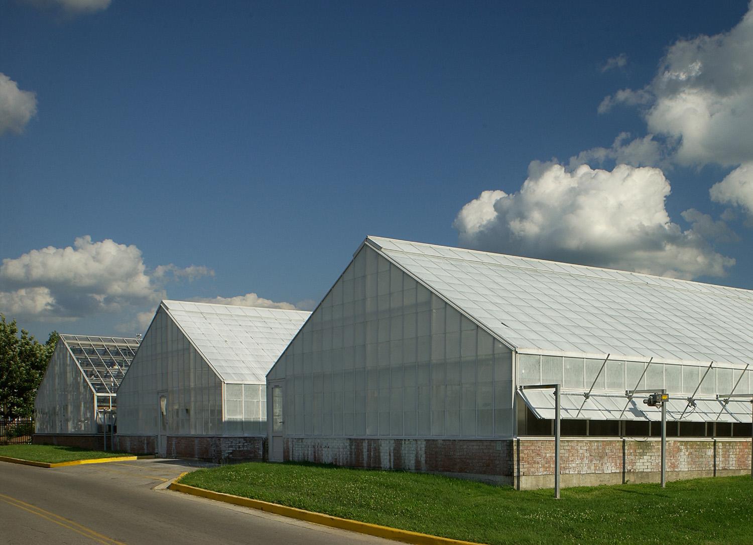 Greenhouse on campus
