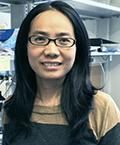 Hua Li Hua Li