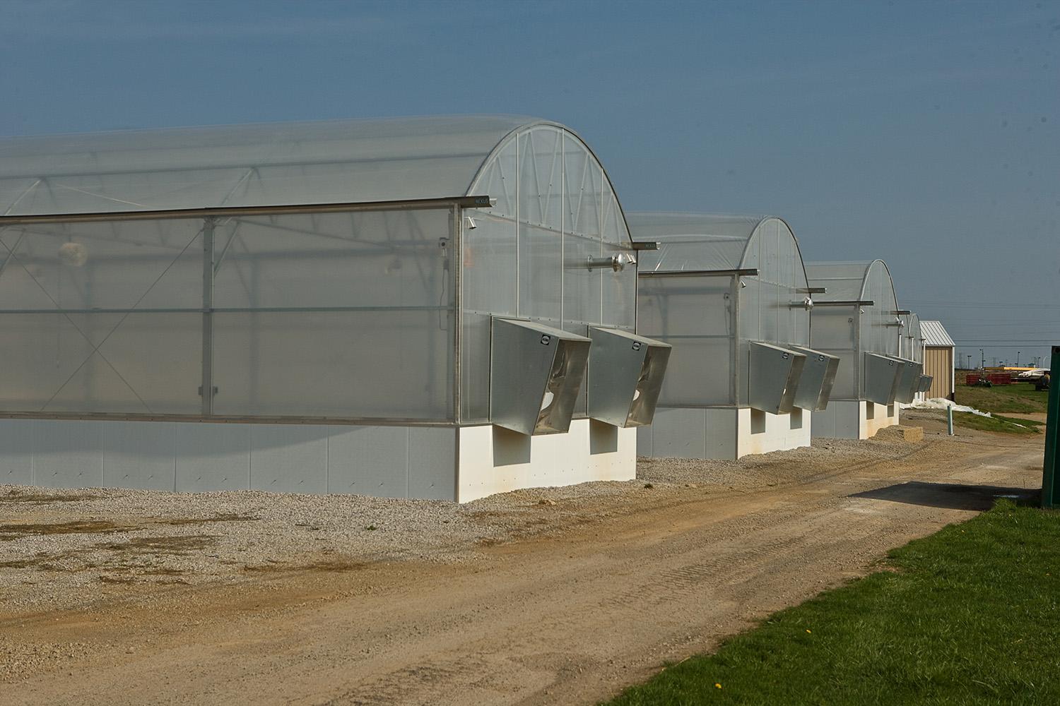 Greenhouses at South Farm