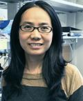 Dr. Hua Li, former Ph.D. graduate student of Dr. Said Ghabrial (2014)