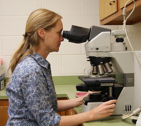 Julie Beale, Plant Disease Diagnostician, at a microscope