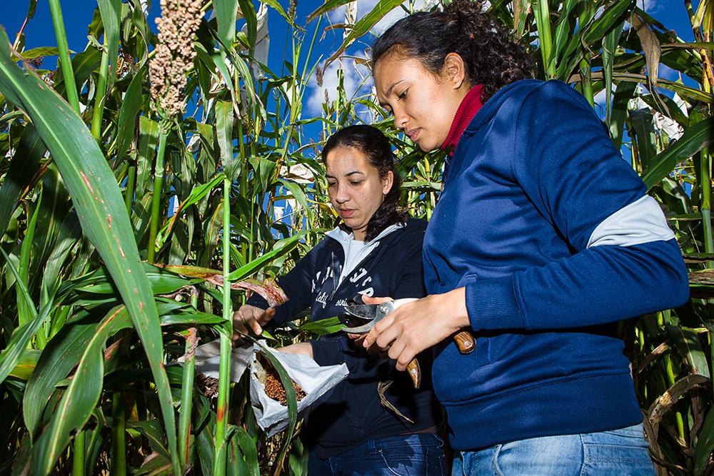 graduate students conducting field research