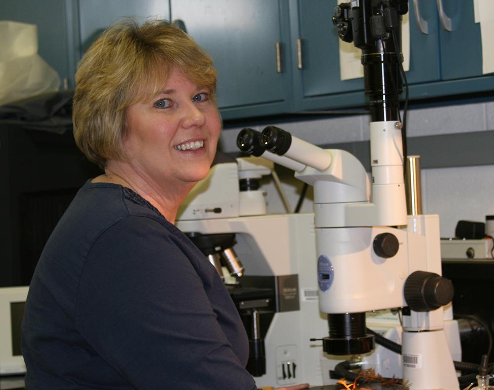 lab report assistant histology lab report assistant histology