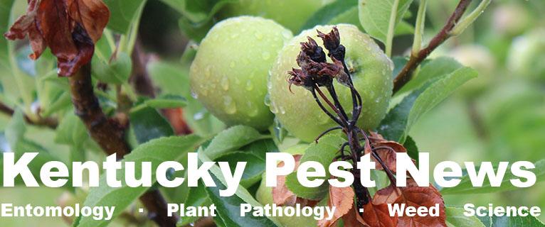 Kentucky Pest News header: Entomology, Plant Pathology, Weed Science