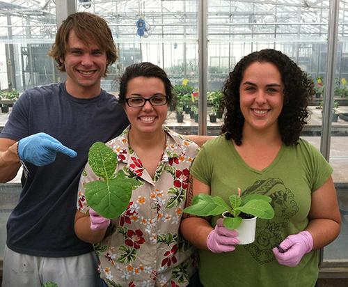 Three undergraduate students with plants
